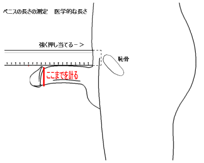 パワーポンプ チントレ37回目: サンエイのパワーポンプ・パワーゲージ